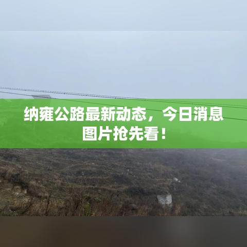 纳雍公路最新动态，今日消息图片抢先看！