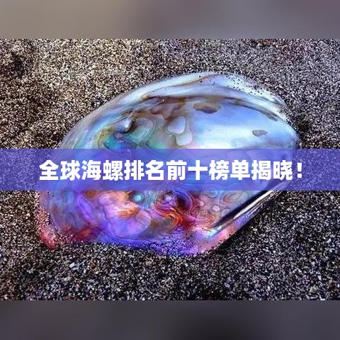 全球海螺排名前十榜单揭晓！