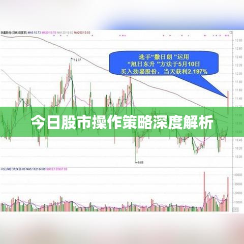 走马观花 第2页