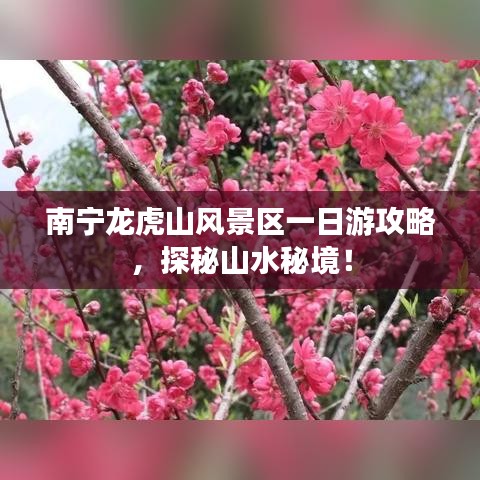 南宁龙虎山风景区一日游攻略，探秘山水秘境！