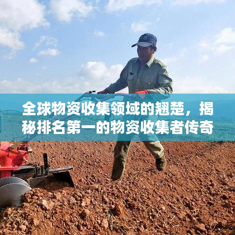 全球物资收集领域的翘楚，揭秘排名第一的物资收集者传奇之路
