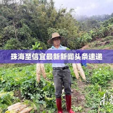 珠海至信宜最新新闻头条速递