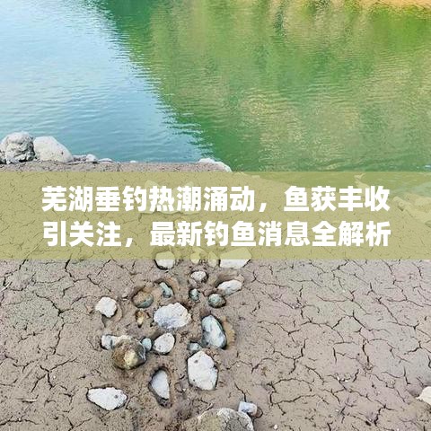 芜湖垂钓热潮涌动，鱼获丰收引关注，最新钓鱼消息全解析