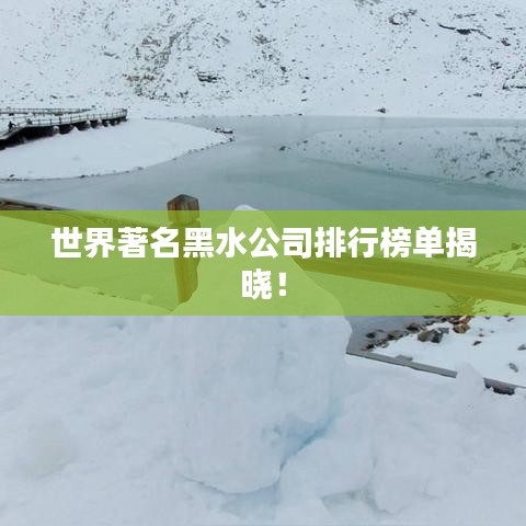 世界著名黑水公司排行榜单揭晓！