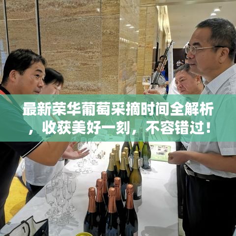 最新荣华葡萄采摘时间全解析，收获美好一刻，不容错过！