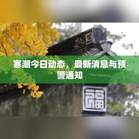 寒潮今日动态，最新消息与预警通知