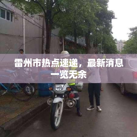 雷州市热点速递，最新消息一览无余