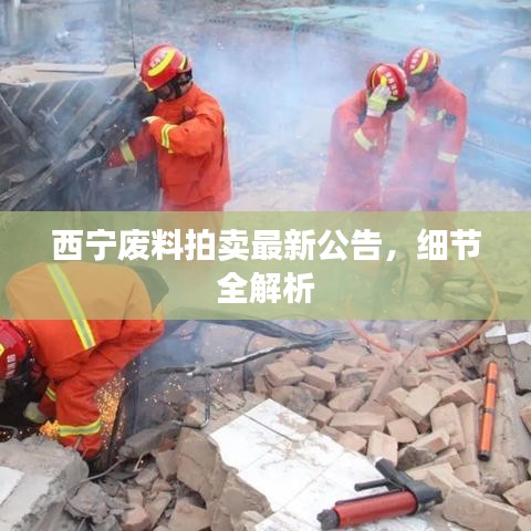 西宁废料拍卖最新公告，细节全解析