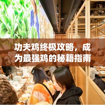 功夫鸡终极攻略，成为最强鸡的秘籍指南