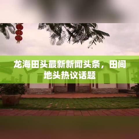龙海田头最新新闻头条，田间地头热议话题