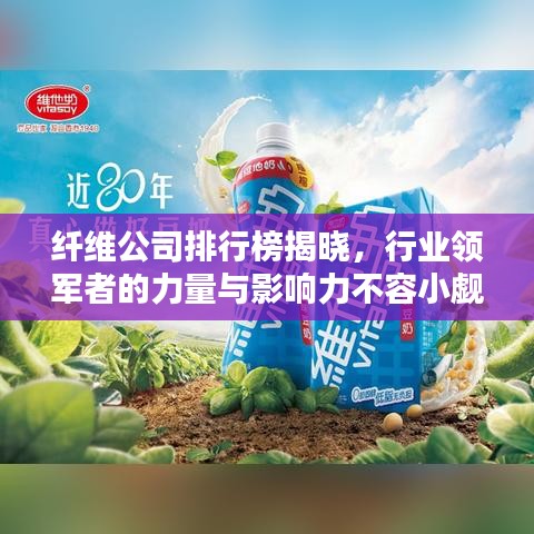 纤维公司排行榜揭晓，行业领军者的力量与影响力不容小觑