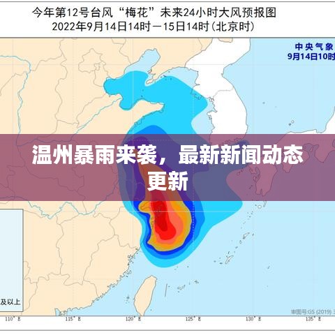 温州暴雨来袭，最新新闻动态更新