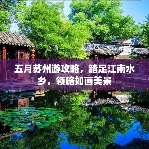 五月苏州游攻略，踏足江南水乡，领略如画美景