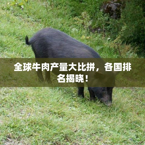 熊经鸟伸 第2页