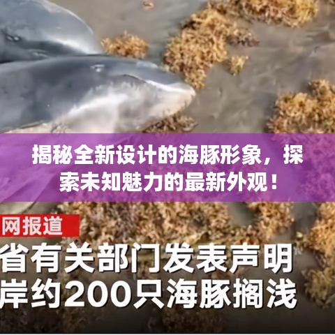 揭秘全新设计的海豚形象，探索未知魅力的最新外观！