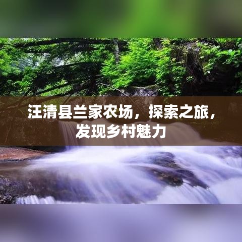 汪清县兰家农场，探索之旅，发现乡村魅力