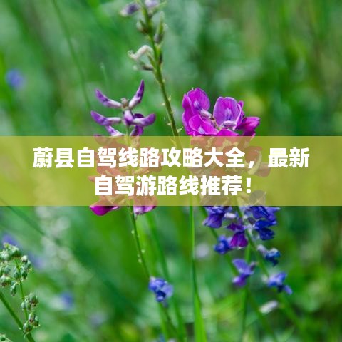 关于我们 第82页