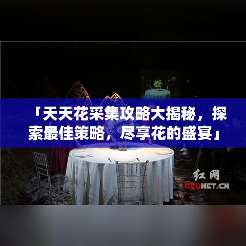 「天天花采集攻略大揭秘，探索最佳策略，尽享花的盛宴」