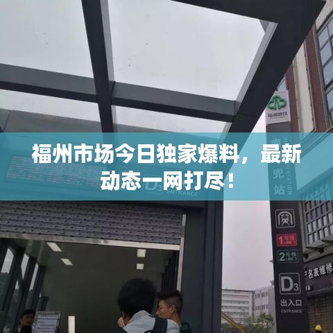 福州市场今日独家爆料，最新动态一网打尽！