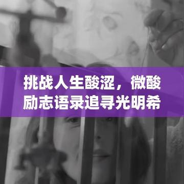 挑战人生酸涩，微酸励志语录追寻光明希望