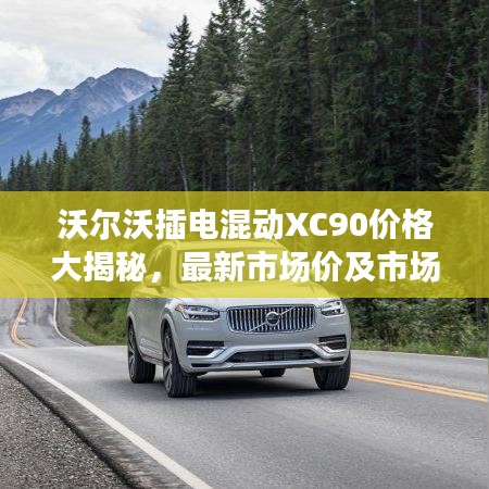 沃尔沃插电混动XC90价格大揭秘，最新市场价及市场分析概览
