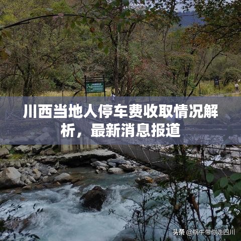 川西当地人停车费收取情况解析，最新消息报道