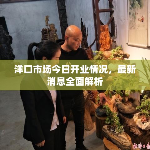 洋口市场今日开业情况，最新消息全面解析