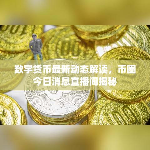 数字货币最新动态解读，币圈今日消息直播间揭秘