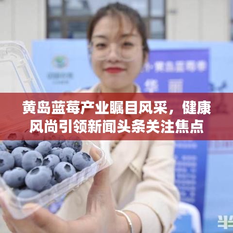 黄岛蓝莓产业瞩目风采，健康风尚引领新闻头条关注焦点