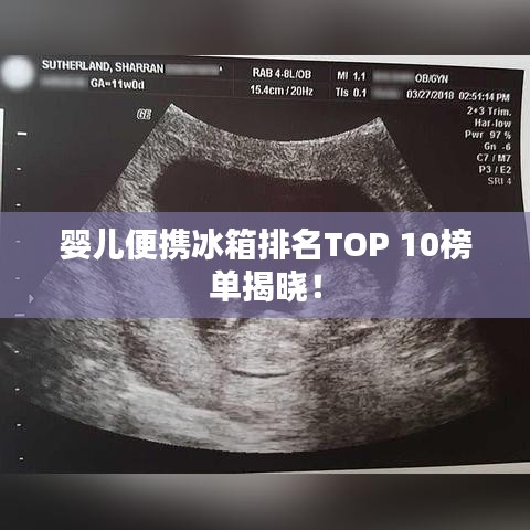婴儿便携冰箱排名TOP 10榜单揭晓！