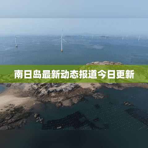 南日岛最新动态报道今日更新