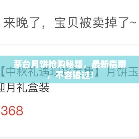 茅台月饼抢购秘籍，最新指南，不容错过！