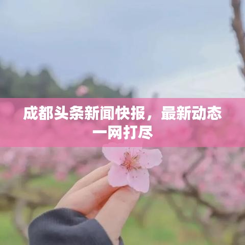 成都头条新闻快报，最新动态一网打尽