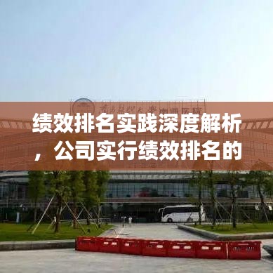 绩效排名实践深度解析，公司实行绩效排名的洞察与启示