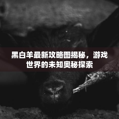 黑白羊最新攻略图揭秘，游戏世界的未知奥秘探索