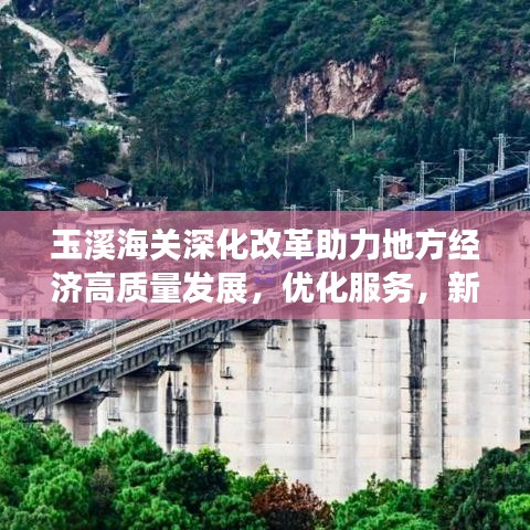 玉溪海关深化改革助力地方经济高质量发展，优化服务，新闻头条抢先看！