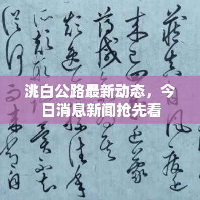 洮白公路最新动态，今日消息新闻抢先看