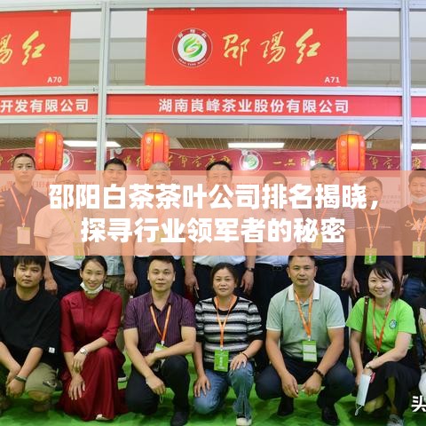 邵阳白茶茶叶公司排名揭晓，探寻行业领军者的秘密