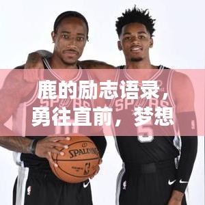 鹿的励志语录，勇往直前，梦想的力量源泉