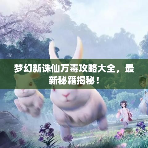 梦幻新诛仙万毒攻略大全，最新秘籍揭秘！