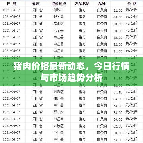 猪肉价格最新动态，今日行情与市场趋势分析