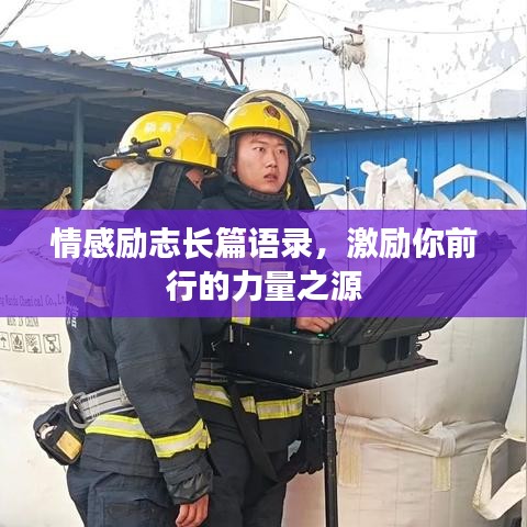 贵而贱目 第2页