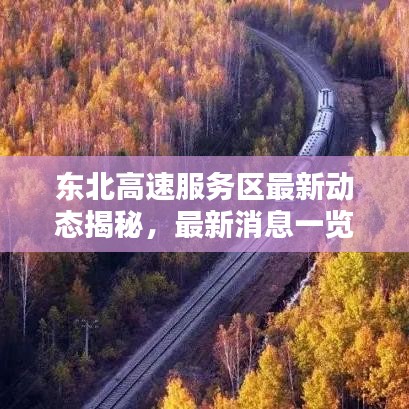 东北高速服务区最新动态揭秘，最新消息一览