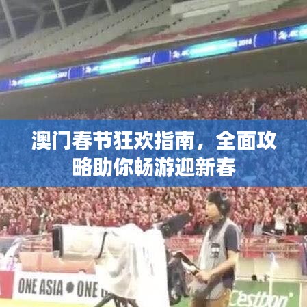 硕果仅存 第2页