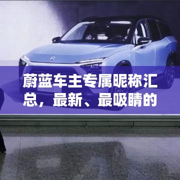 蔚蓝车主专属昵称汇总，最新、最吸睛的昵称大全！