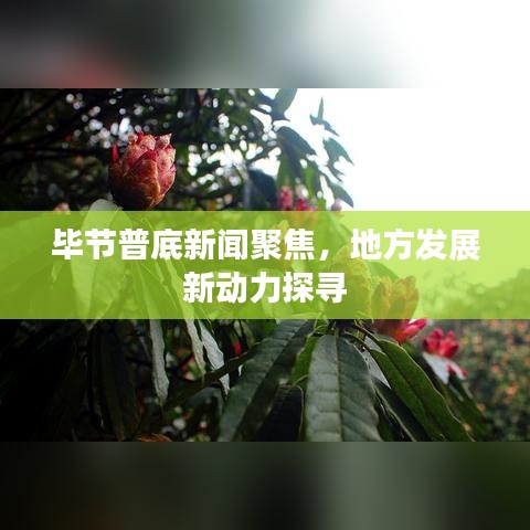 毕节普底新闻聚焦，地方发展新动力探寻