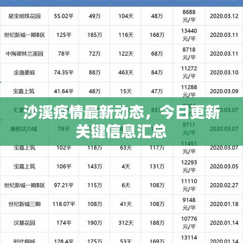 沙溪疫情最新动态，今日更新关键信息汇总