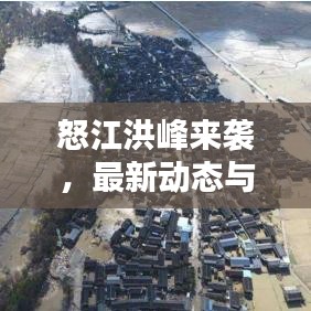 犯而不校 第2页