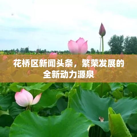 花桥区新闻头条，繁荣发展的全新动力源泉