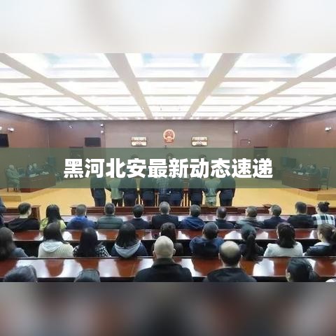 黑河北安最新动态速递